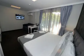 Hotel Alexandar II - Room