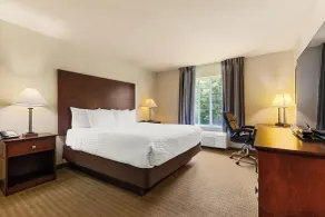 Cobblestone Hotel & Suites - Knoxville - Chambre