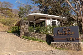 Suitree Experience Hotel - Recepción