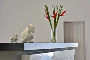 Hermes Mykonos Hotel - Réception