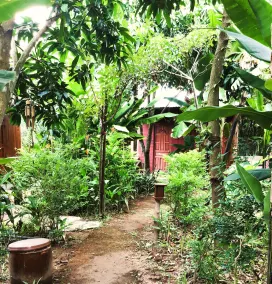Ben Tre Farm Stay - Restaurant