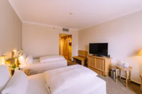Atomis Hotel Munich Airport by Mercure - Chambre
