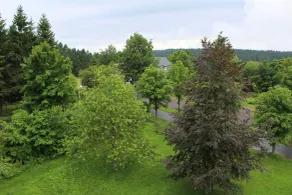 Einzelzimmer für MBG031 - Vista dalla camera
