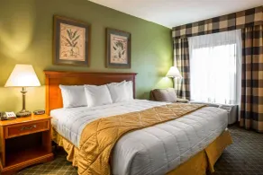 Clarion Inn & Suites Aiken South - Chambre