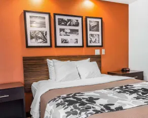 Sleep Inn Bessemer Helena - Chambre