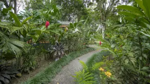 Eden Organic Farm & Bungalows - View from room