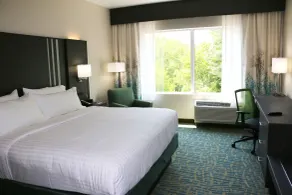 Holiday Inn Express & Suites - Hendersonville SE - Flat Rock by IHG - Chambre