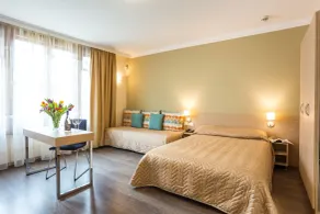 Geneva Hotel - Room