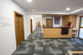 Hotel Sokoline - Reception