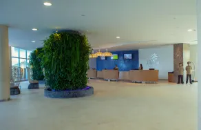 Las Americas Torre Del Mar - Reception