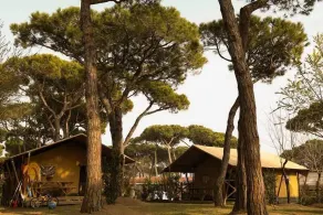 Camping Waikiki - Udsigt fra værelset