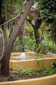 Quinta Las Acacias - View from room