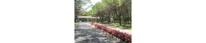 Belvedere Pineta Camping Village Grado - Reception