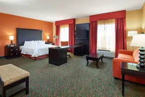 Hampton Inn & Suites Waco-South - Chambre
