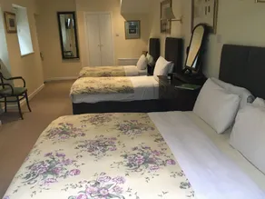 Red Setter Town House B&B - Værelse
