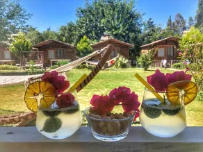 Pitos Bungalows - View from room