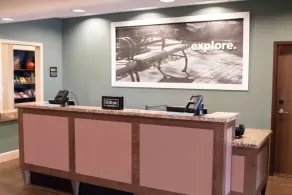 Hampton Inn & Suites Dallas/Frisco North-FieldhouseUSA - Réception