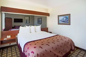 Microtel Inn & Suites by Wyndham Holland - Chambre