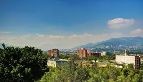 Los Patios Hostel Medellin - View from room