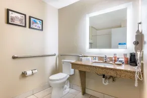 Comfort Inn Lafayette I-65 - Salle de bain