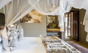 Botlierskop Bush Villas - Room