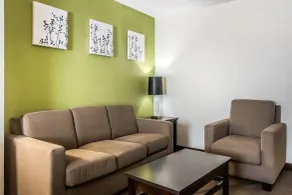 Sleep Inn & Suites Dothan North - Chambre