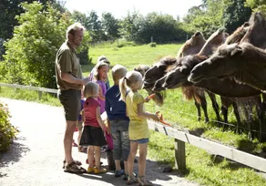 Givskud Zoo Hostel - Fitness facility