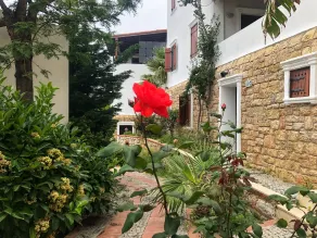 Arion Resort Hotel - Room