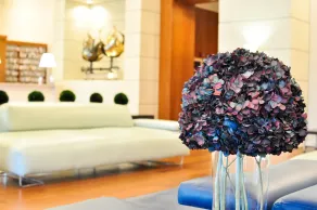 iCoconutGrove - Luxurious Vacation Rentals in Coconut Grove - Reception