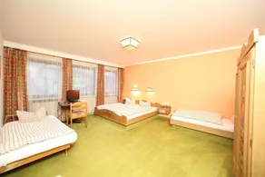 Hotel-Landgasthof Schuster - Habitación