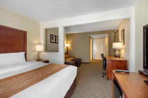 Comfort Inn & Suites SW Houston Sugarland - Chambre