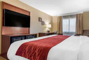 Comfort Inn & Suites Leeds I-20 - Chambre