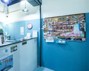 Zee Thai Hostel - Réception
