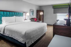 Hampton Inn Detroit/Northville - Room