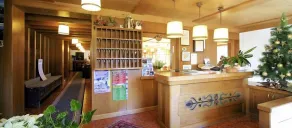 Hotel Panorama - Reception