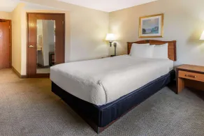 La Quinta Inn & Suites by Wyndham Las Cruces Organ Mountain - Chambre