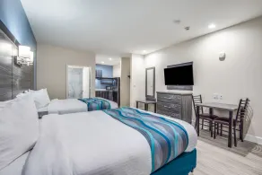 Americas Best Value Inn & Suites Houston at Hwy 6 - Room