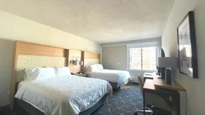 Holiday Inn & Suites Chicago-Downtown by IHG - Chambre