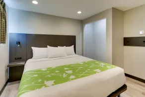 The Shamrock - Room