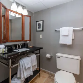 DoubleTree by Hilton New Bern Riverfront - Salle de bain