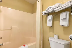 Econo Lodge Jonesboro - Salle de bain