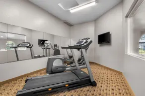 Microtel Inn & Suites by Wyndham Prairie du Chien - Area fitness
