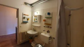 Schneerosenblüte Steibis mit Oberstaufen Plus - Bathroom