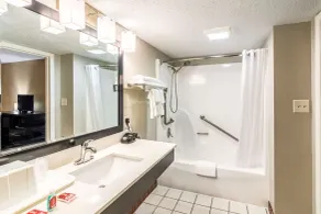 Econo Lodge Crestview South - Salle de bain