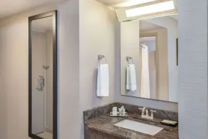 Wyndham Garden Elk Grove Village - O'Hare - Bathroom