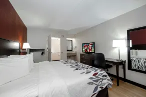 Red Roof Inn Cleveland - Medina - Room