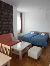 Ambasador Zlatibor - Chambre