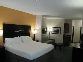 Holiday Inn Express Hotel and Suites Fort Stockton by IHG - Chambre