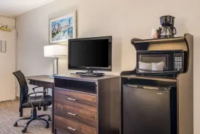 Quality Inn Suwanee I-85 - Room