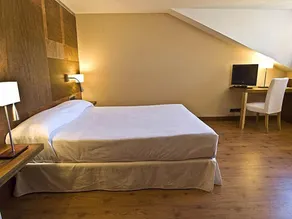 Hotel Picos de Europa - Room